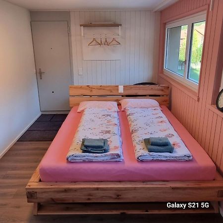 Mountain - Lake Apartment 3 Wilderswil Bagian luar foto