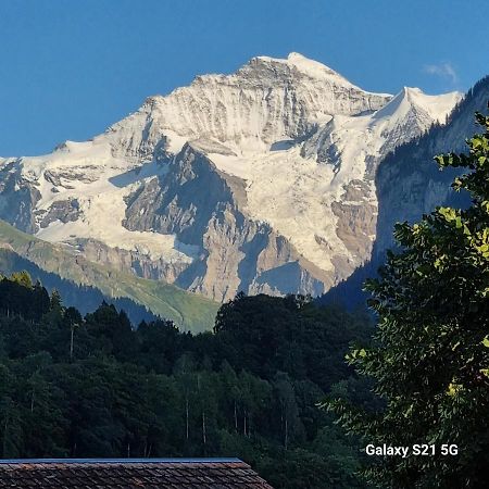 Mountain - Lake Apartment 3 Wilderswil Bagian luar foto