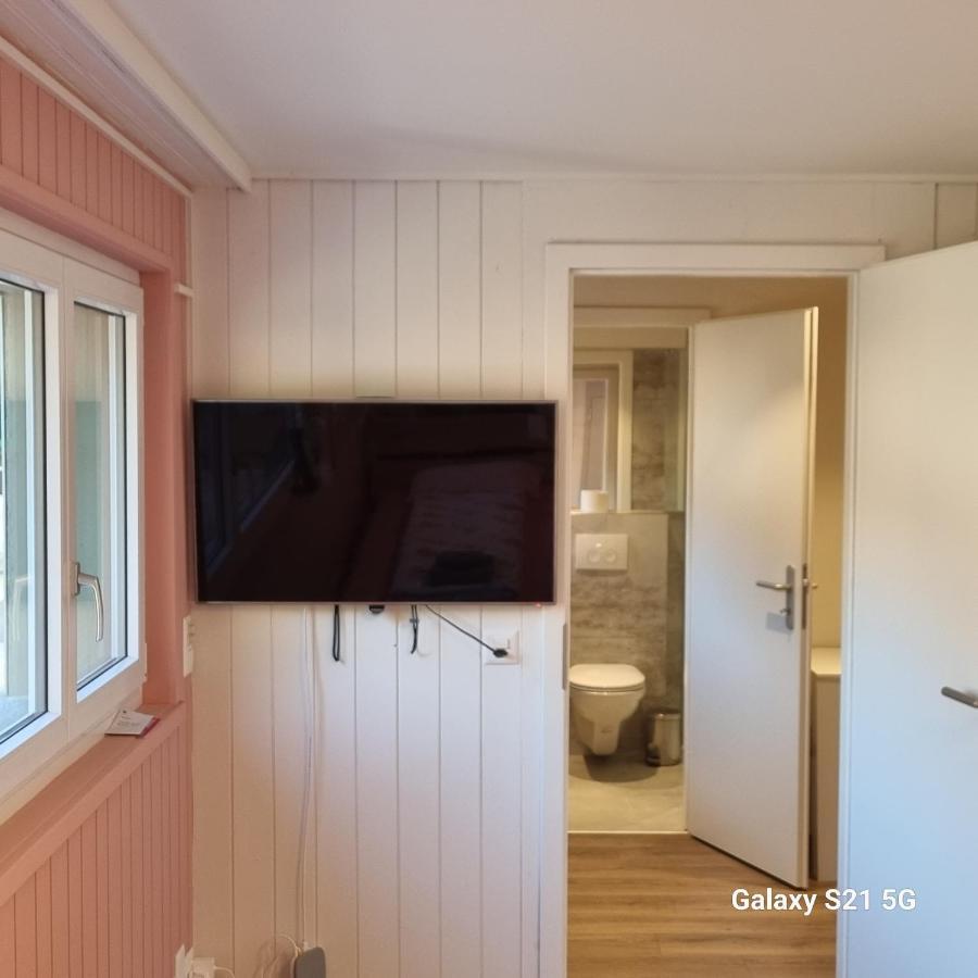 Mountain - Lake Apartment 3 Wilderswil Bagian luar foto